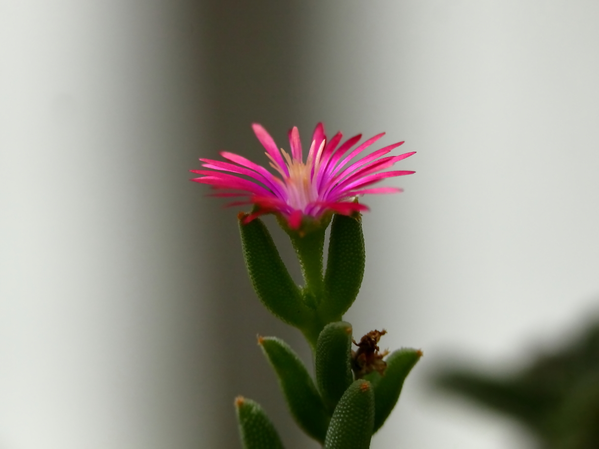 2013 09 18 HTP 07984e